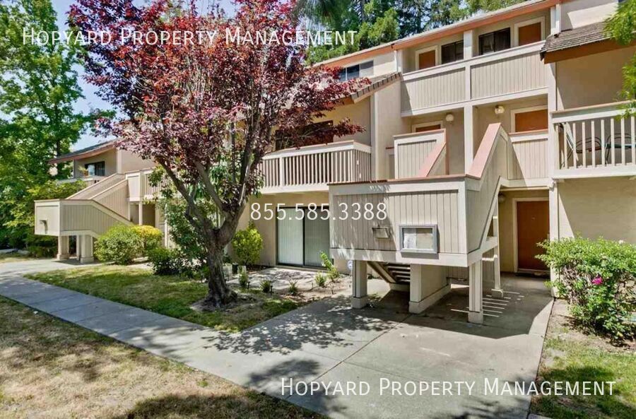 39972 FREMONT BLVD