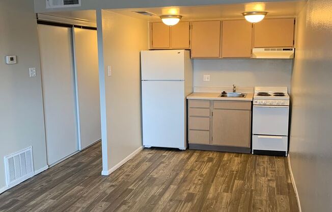 Studio, 1 bath, 445 sqft, $794, Unit 193