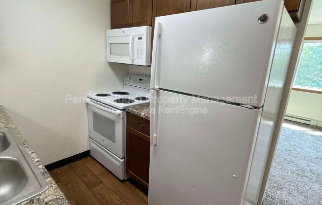 Studio, 1 bath, 400 sqft, $595, Unit 11a