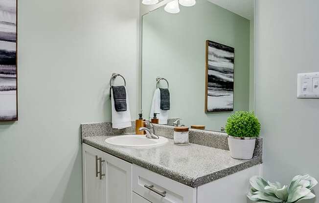 Large Bathroom Vanity and Countertop