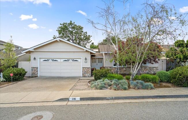 Beautiful 3 Bed 2 Bath With Washer And Dryer San Carlos