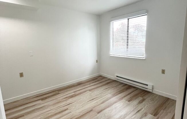 1 bed, 1 bath, 480 sqft, $1,595, Unit 202