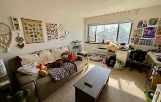 1 bed, 1 bath, $1,095, Unit 305