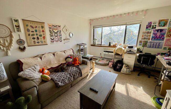 1 bed, 1 bath, $1,095, Unit 305