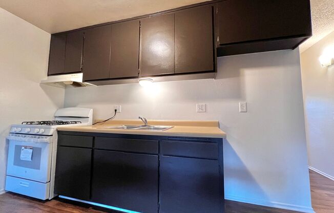 1 bed, 1 bath, $1,295, Unit 208