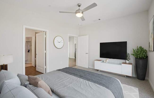 studio one and two bedroom plano apartments for rent