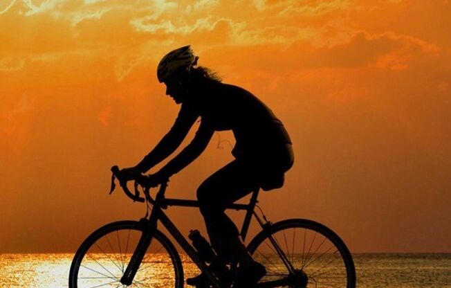 Studio, 1 bath, 585 sqft, $1,995, Unit 208