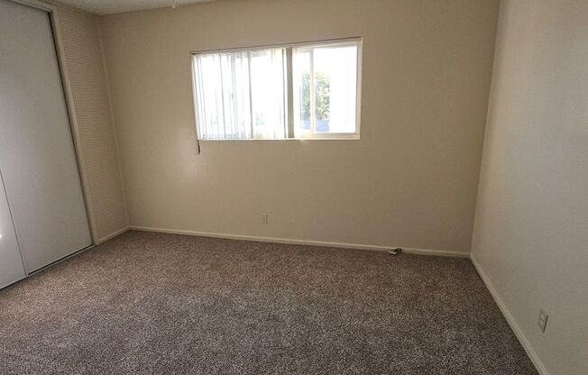 Newly Renovated Unit