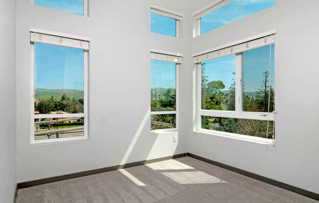 Carpeted Bedroom