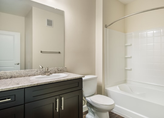 Luxurious Bathroom at The Oasis at Lakewood Ranch, Bradenton, FL, 34211