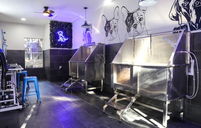 dog wash station with neon pet sign and wall decor