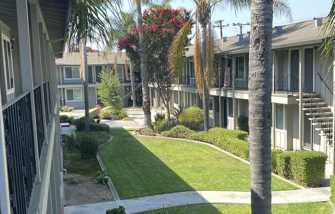 a view of a courtyard with palm trees and grass