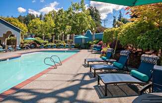 A pool surrounded by trees and chairs.