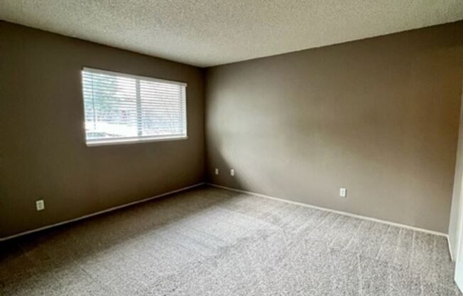 1 bed, 1 bath, 700 sqft, $1,550, Unit 38