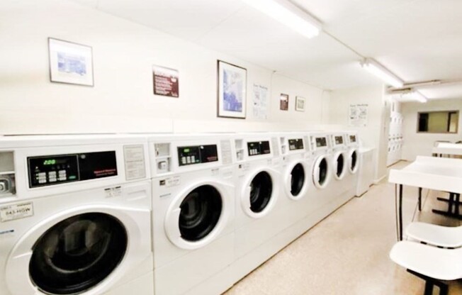 1 bed, 1 bath, 350 sqft, $1,890, Unit 704