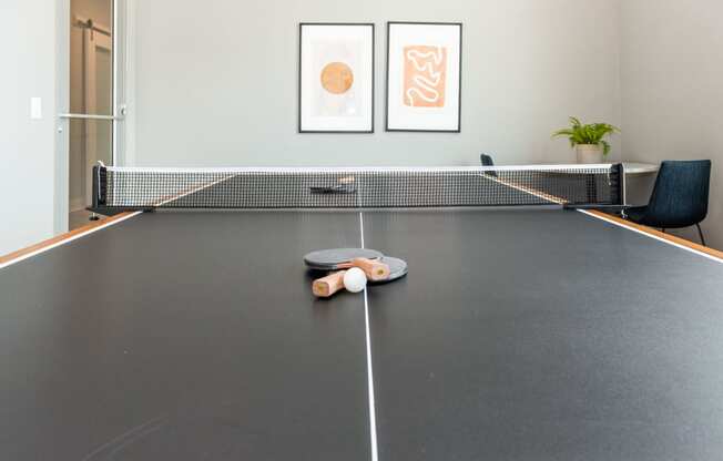 a ping pong table in a conference room with two balls on it