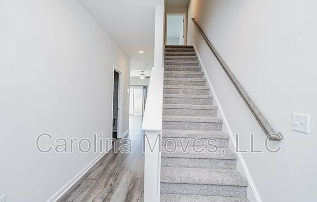 312 TRL BR CT