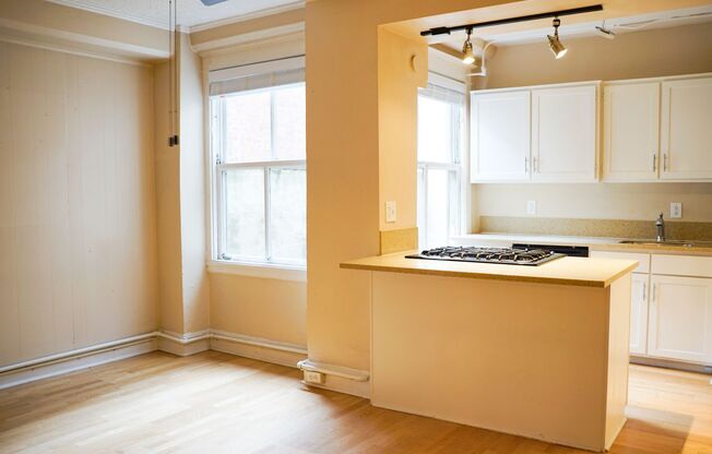 Get $500 OFF Rent! Goose Hollow Spacious & Charming One Bedroom with a Patio!