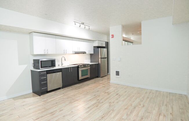 1 bed, 1 bath, 595 sqft, $1,850, Unit 102