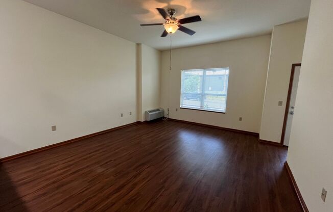 1 bed, 1 bath, 725 sqft, $1,325, Unit 113