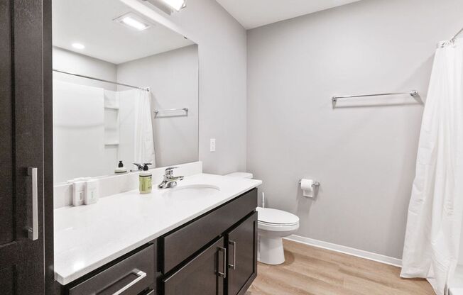 Studio, 1 bath, 457 sqft, $1,175