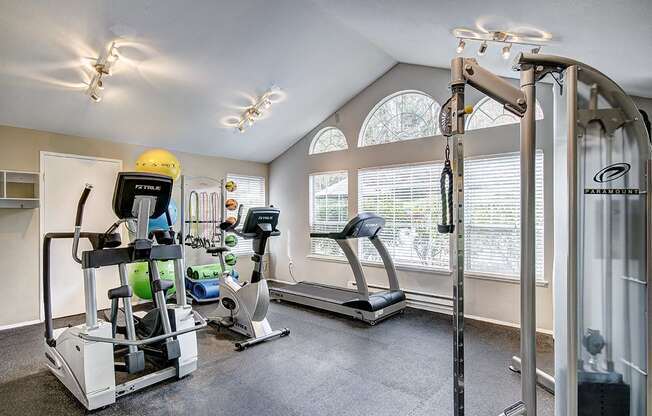 fitness center- cardio machines, weighted machines