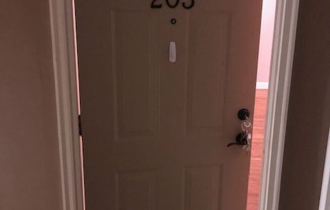 111 N Spring St, Apt 203