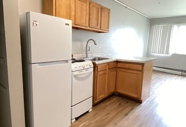 Studio, 1 bath, $1,000, Unit 2747313