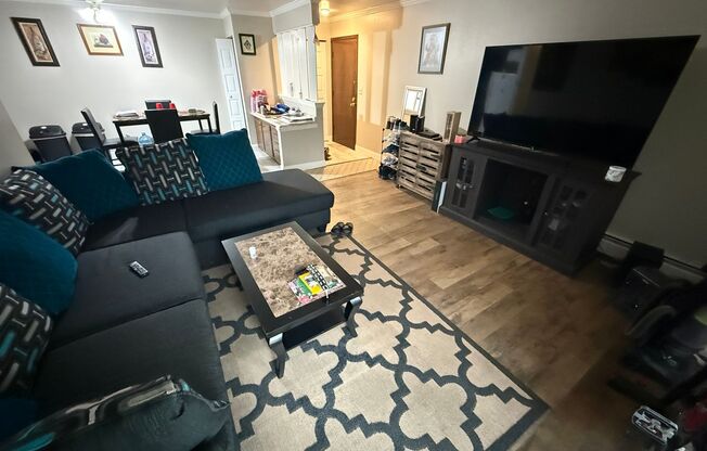 Williamsburg Flats 202