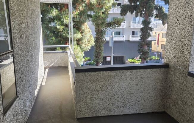 2 beds, 2 baths, 998 sqft, $2,462, Unit 203