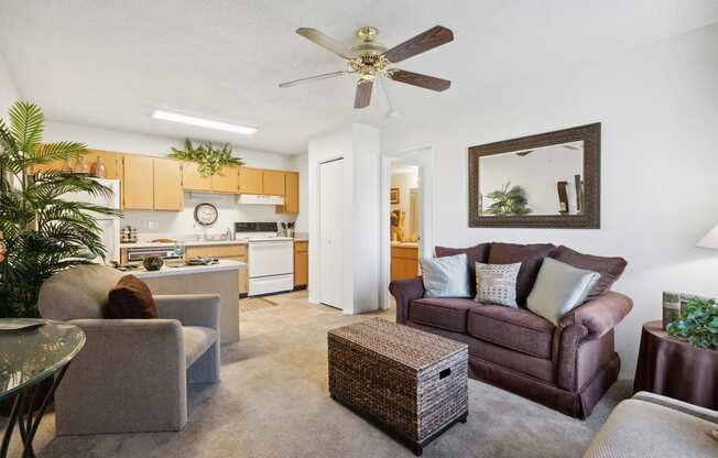 Living Room and kitchen at Shorebird Apartments in Mesa Arizona