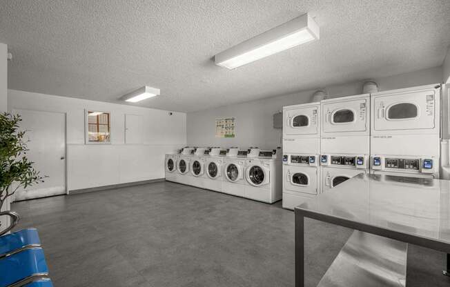 Rows of washers and dryers for lau