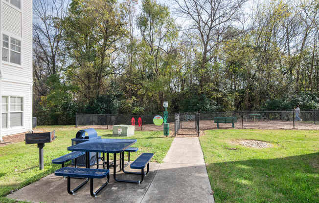 A picnic table with a blue top is surrounded by a concrete slab.