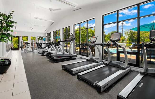 A gym with treadmills and a plant on the left.