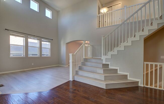 Stunning 6 Bedroom Home in Northgate w/ All of the Bells and Whistles!