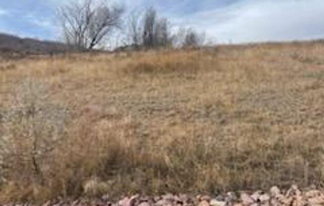 FULLY FURNISHED 3 Bed Luxury End Unit Townhome backs to Nature