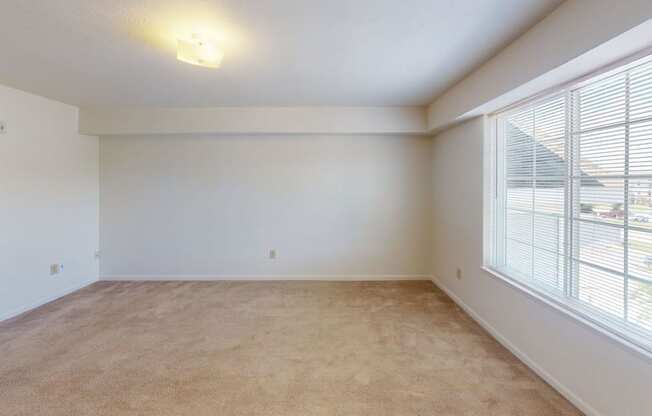 Spacious bedroom with a large window and plush carpet