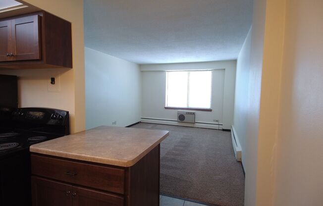 1 bed, 1 bath, 620 sqft, $1,120, Unit 106