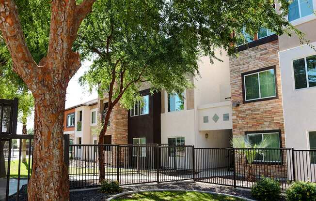 A tree is in front of a building.