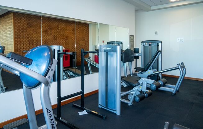 1 bed, 1 bath, $3,200, Unit APARTMENT 1607