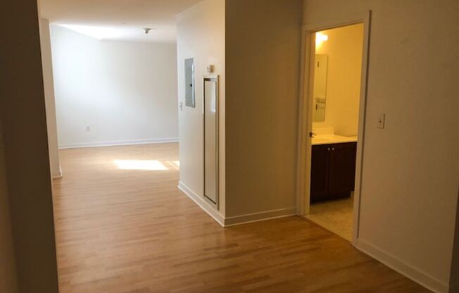 Studio, 1 bath, 500 sqft, $1,499, Unit 201