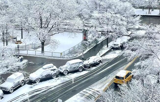 1 bed, 1 bath, 765 sqft, $5,780, Unit 8I