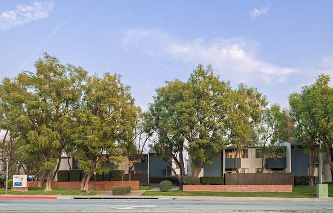 A row of trees in front of a building.