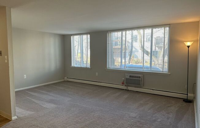 1 bed, 1 bath, 600 sqft, $1,175, Unit 165