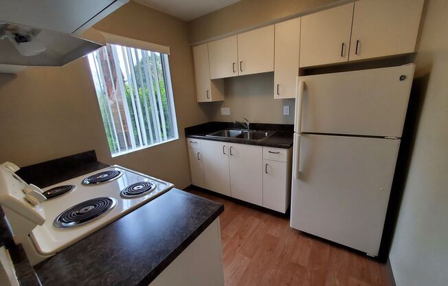 Studio, 1 bath, 408 sqft, $1,850, Unit 143