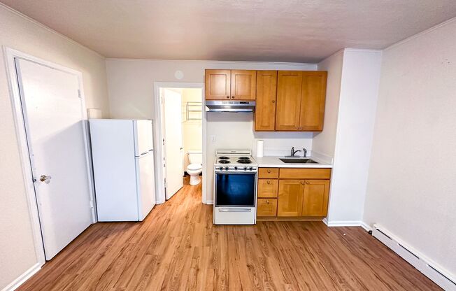 Studio, 1 bath, 250 sqft, $1,295, Unit 03