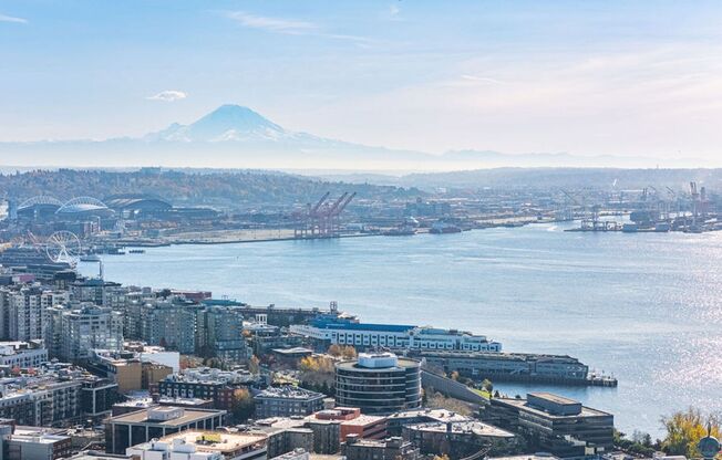 Niwa Apartments | Modern City Living in Lower Queen Anne | 1 Month Free or More!