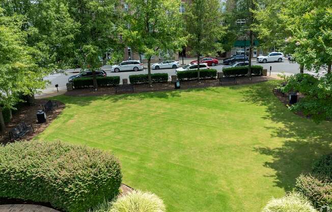 A green lawn surrounded by trees and bushes.