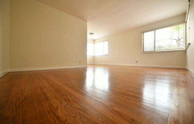 1p439 - 301 Lester Ave.