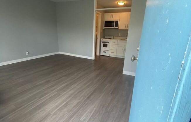 Studio, 1 bath, 500 sqft, $895, Unit 253
